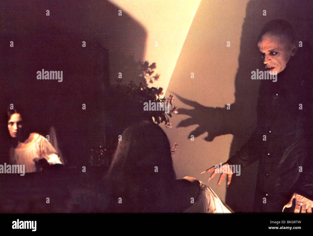 NOSFERATU THE VAMPYRE (1979) ISABELLE ADJANI, KLAUS KINSKI NSF 019 Stock Photo