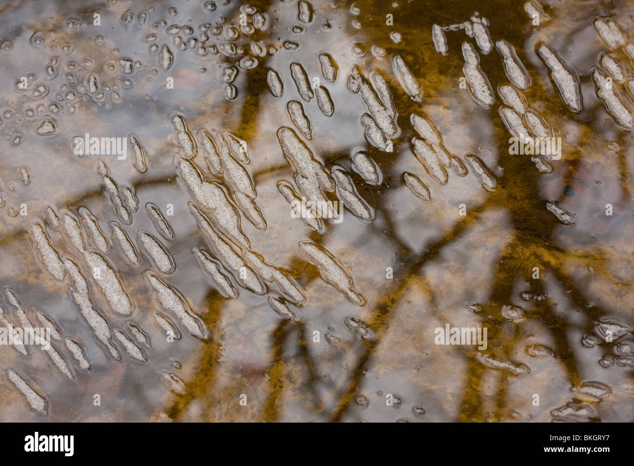 Een kleine stroomversnelling in een bosbeekje zorgt voor een onregelmatig patroon van streepjes schuim op het water. A small torrent in a forest stream produces an irregular pattern of lines on the water surface. Stock Photo