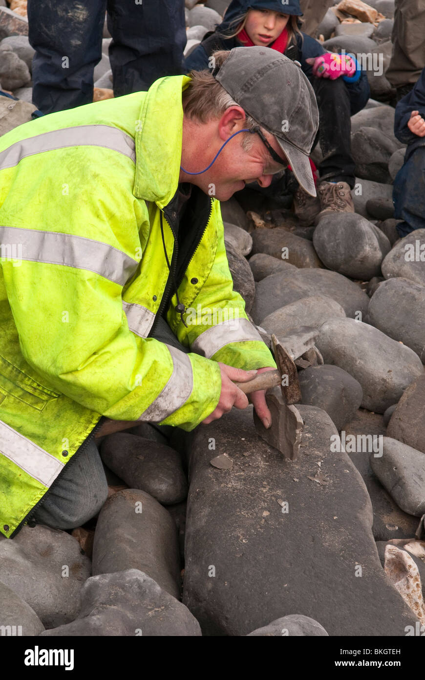 Fossil Hunting on Lyme Regis Beach on the Jurassic Coast Dorset UK