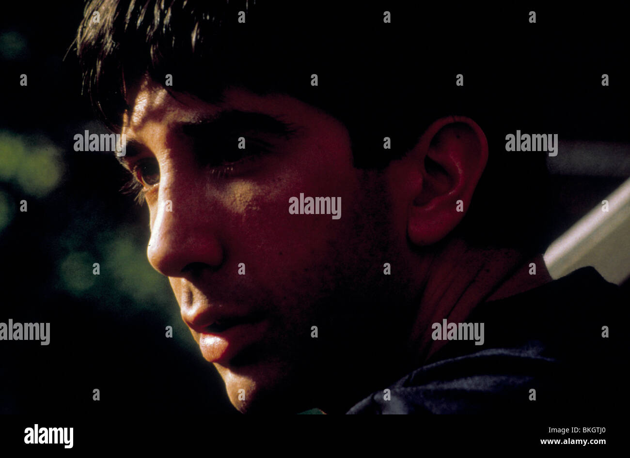 THE PALLBEARER (1996) DAVID SCHWIMMER PALL 008 L Stock Photo