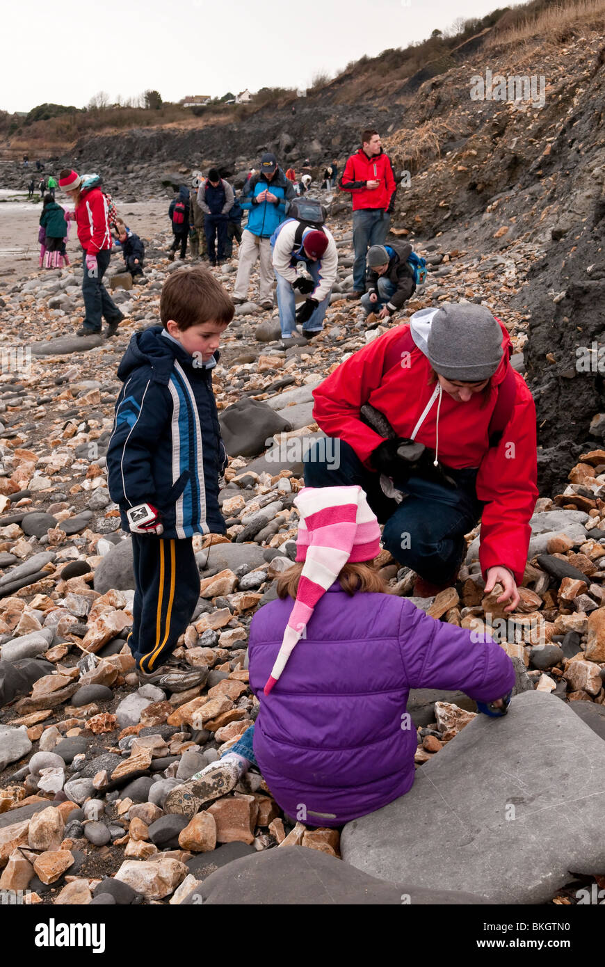 Fossil Hunting on Lyme Regis Beach on the Jurassic Coast Dorset UK