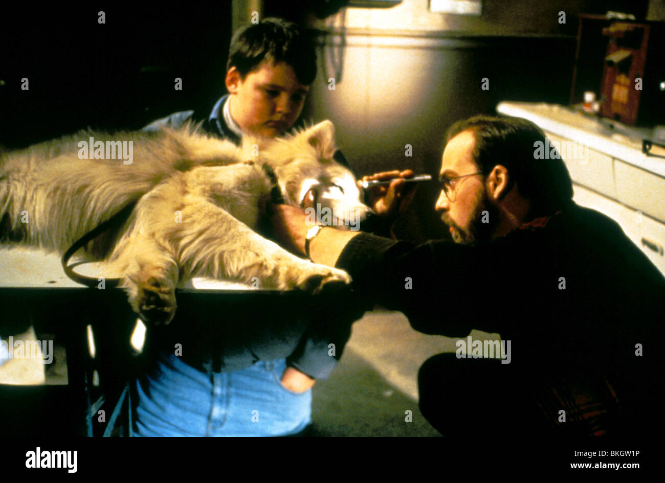 Anthony edwards pts2 003 moviestore collection ltd hires stock