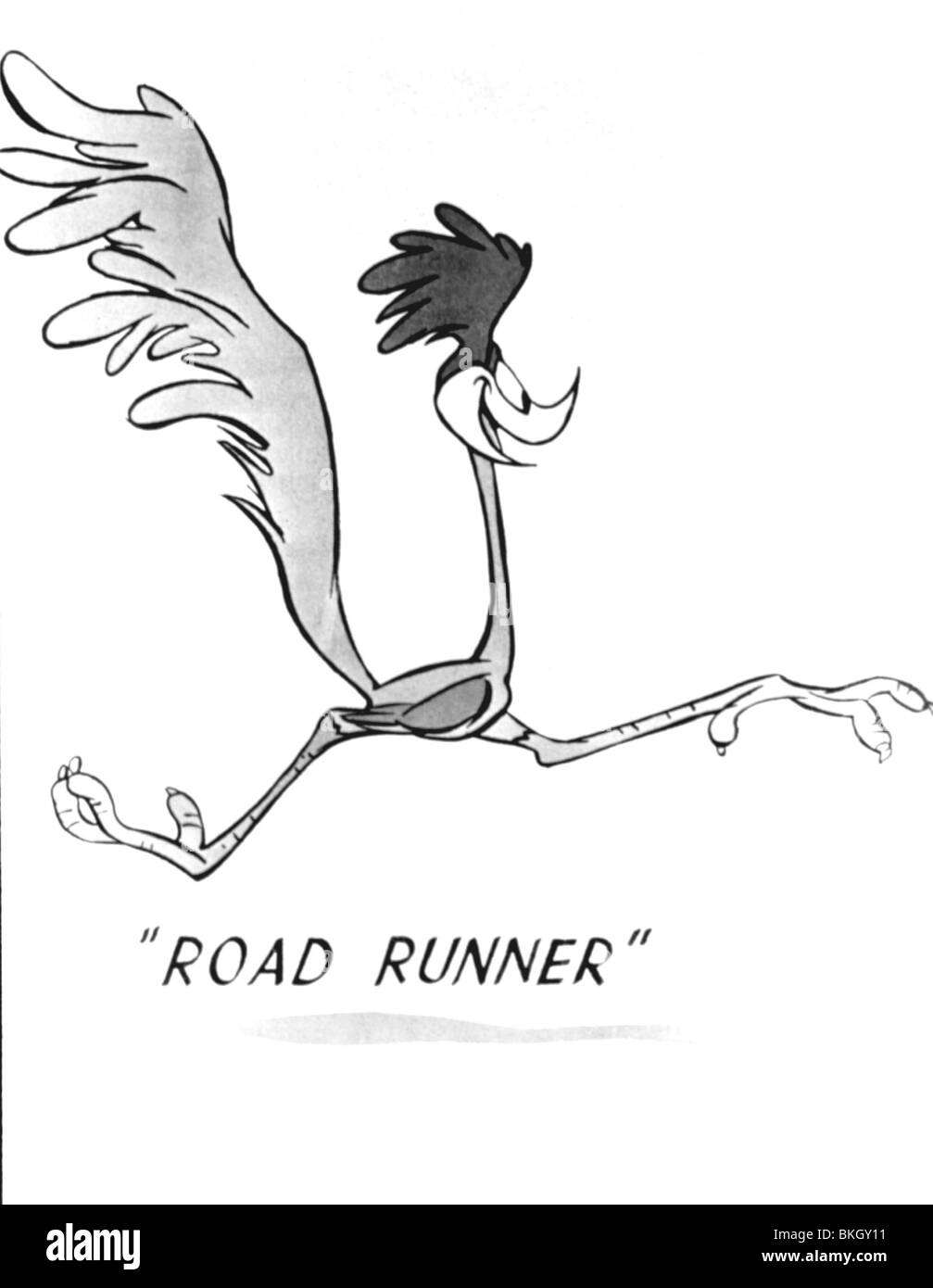 Road runner Black and White Stock Photos & Images - Alamy