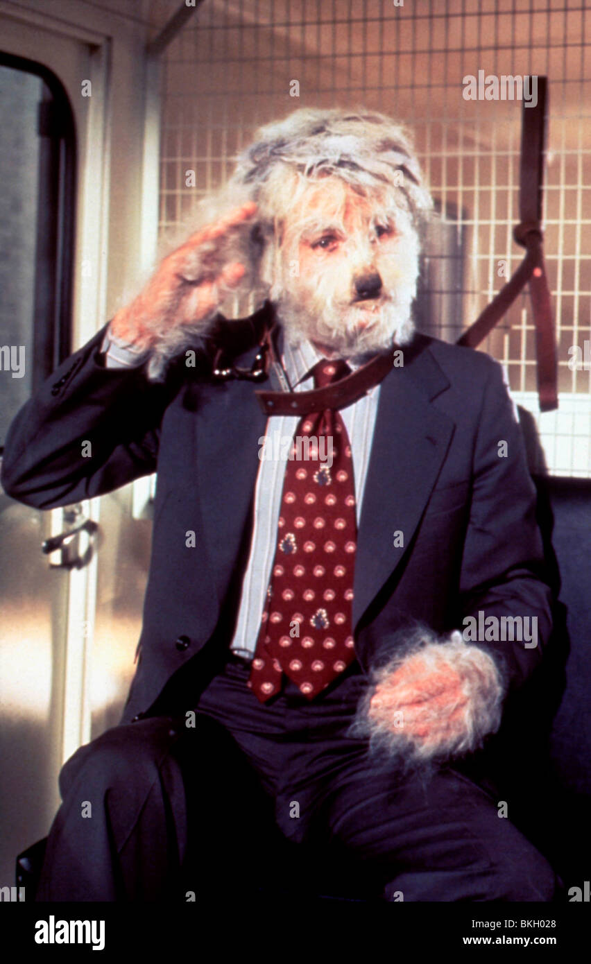 THE SHAGGY DA 1976 DEAN JONES Stock Photo Alamy