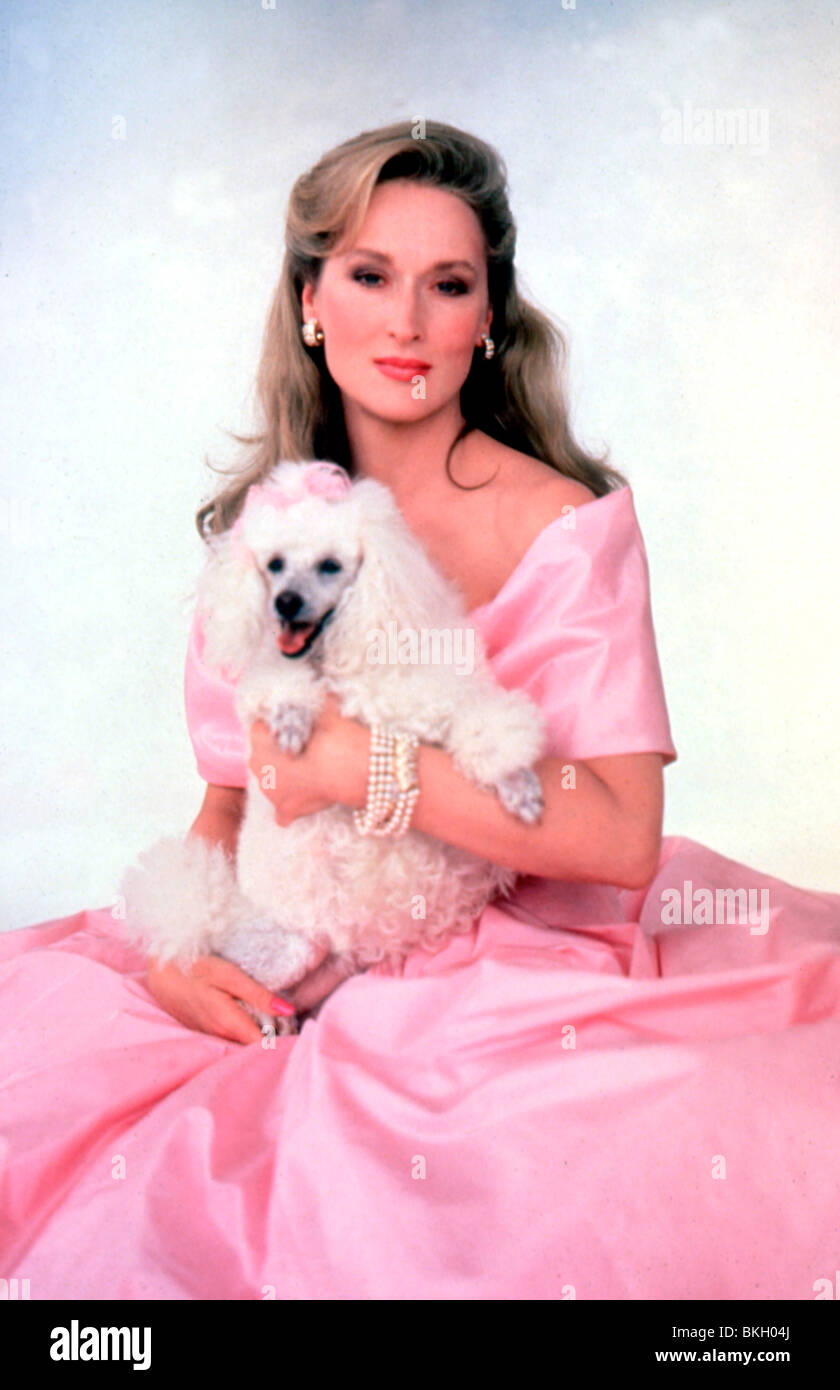 She devil 1989 meryl streep hi-res stock photography and images - Alamy She devil 1989 meryl streep hi-res stock photography and images - Alamy