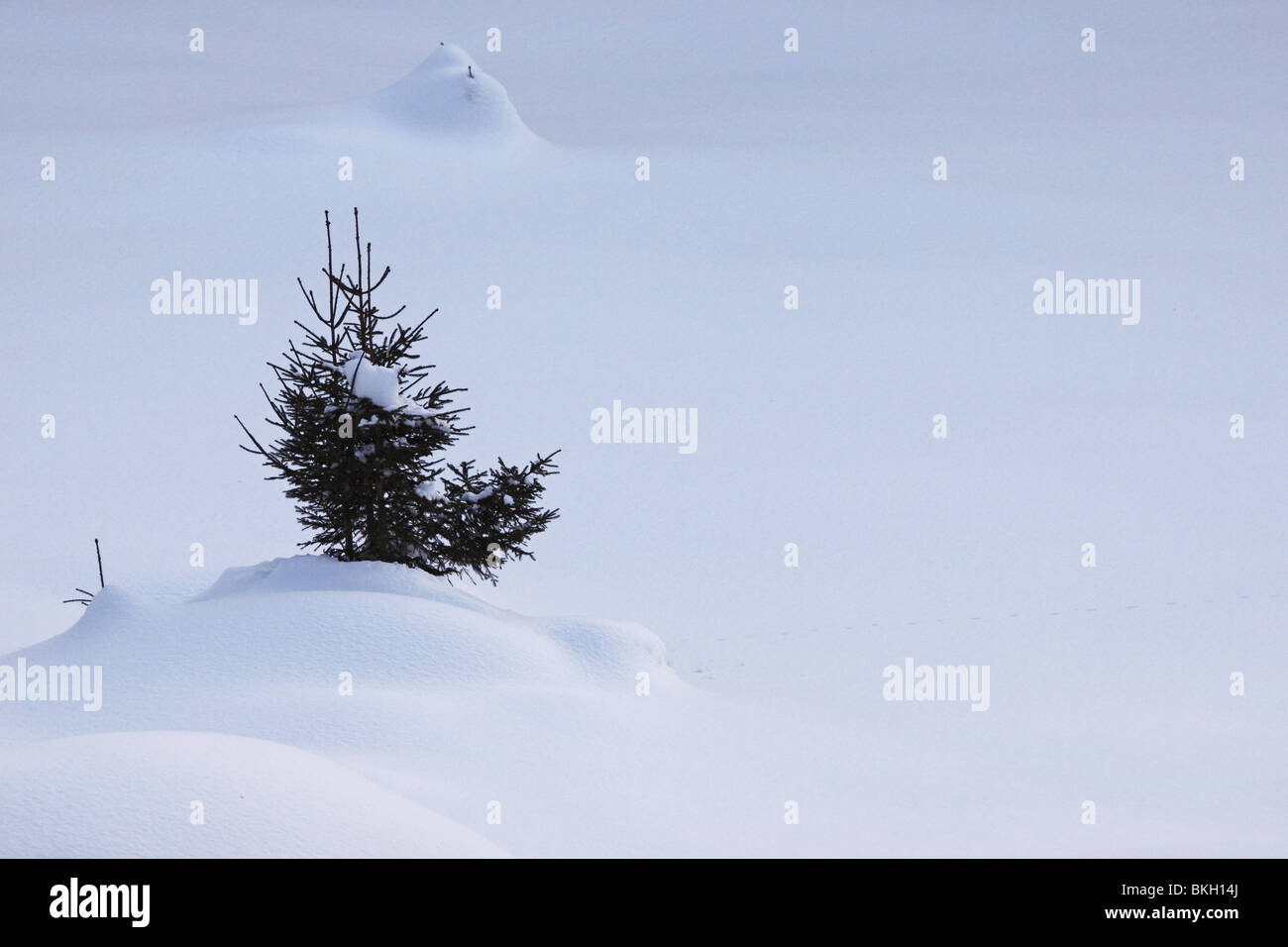 winter landscape, still life, still life, Stock Photo