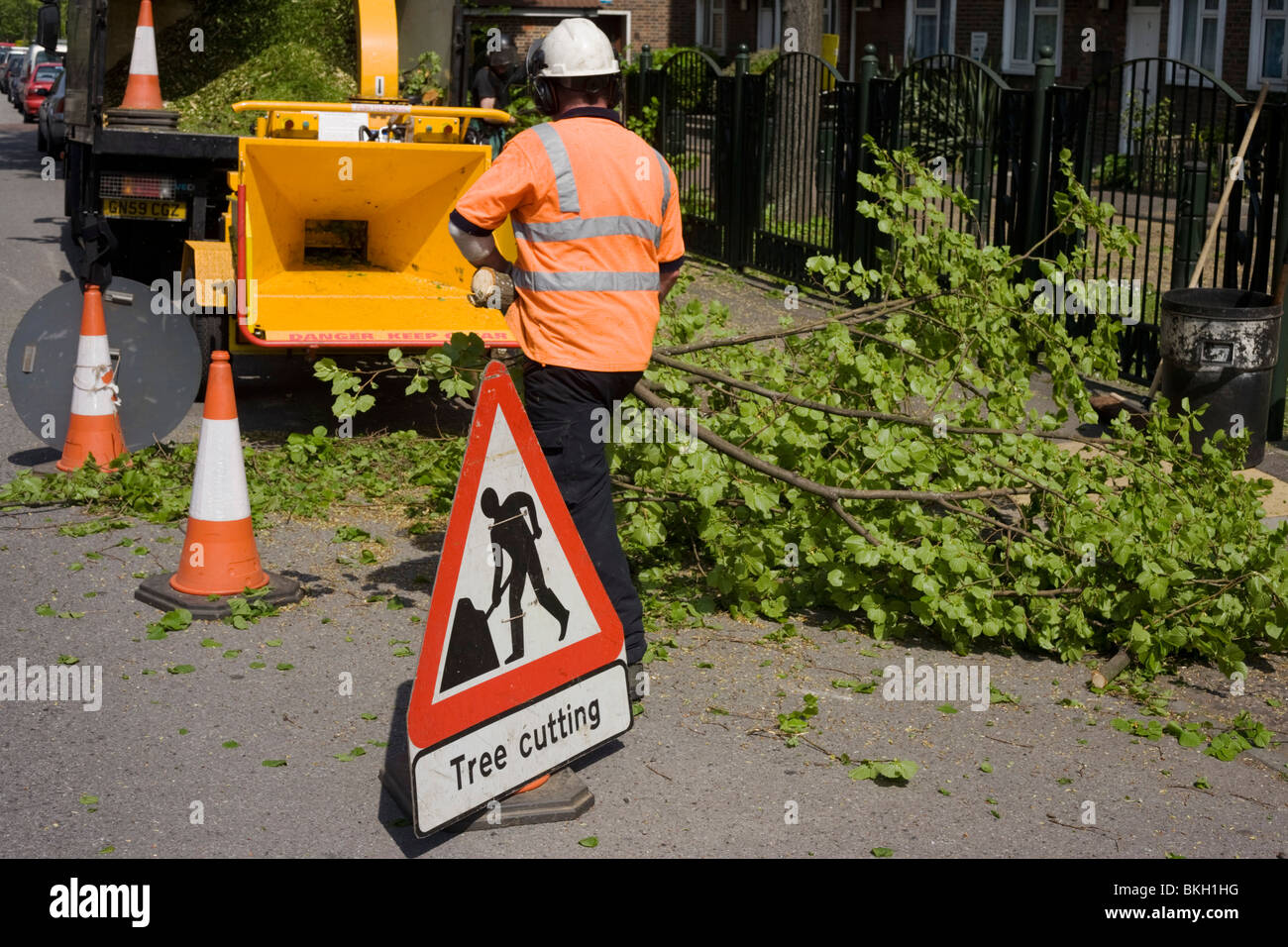 Near a Man at work warning sign, council tree surgeons feed freshly-cut branches into a shredder as a local road is coned off. Stock Photo