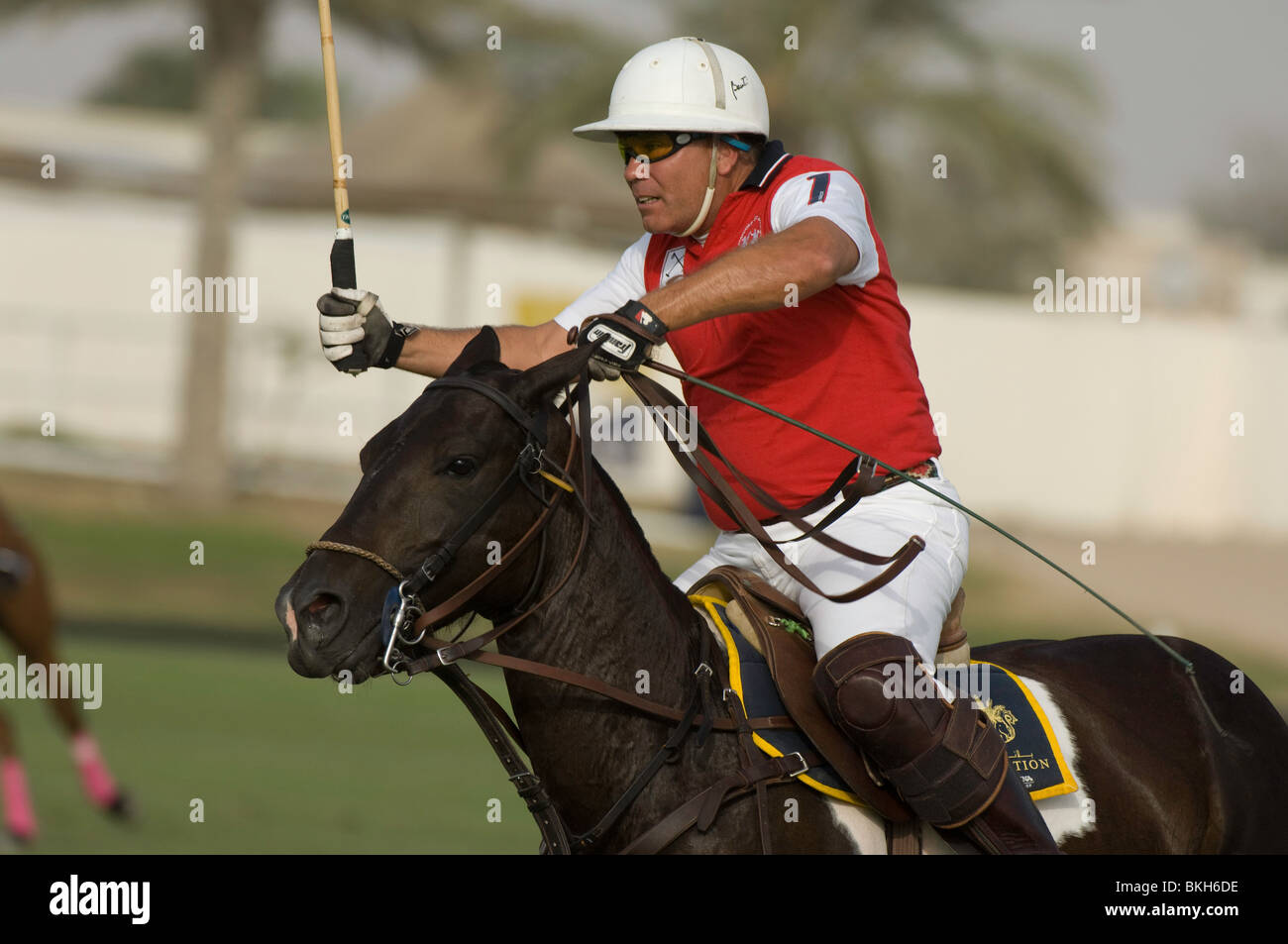 dubai polo cup april 2010 la martina argentina Stock Photo - Alamy