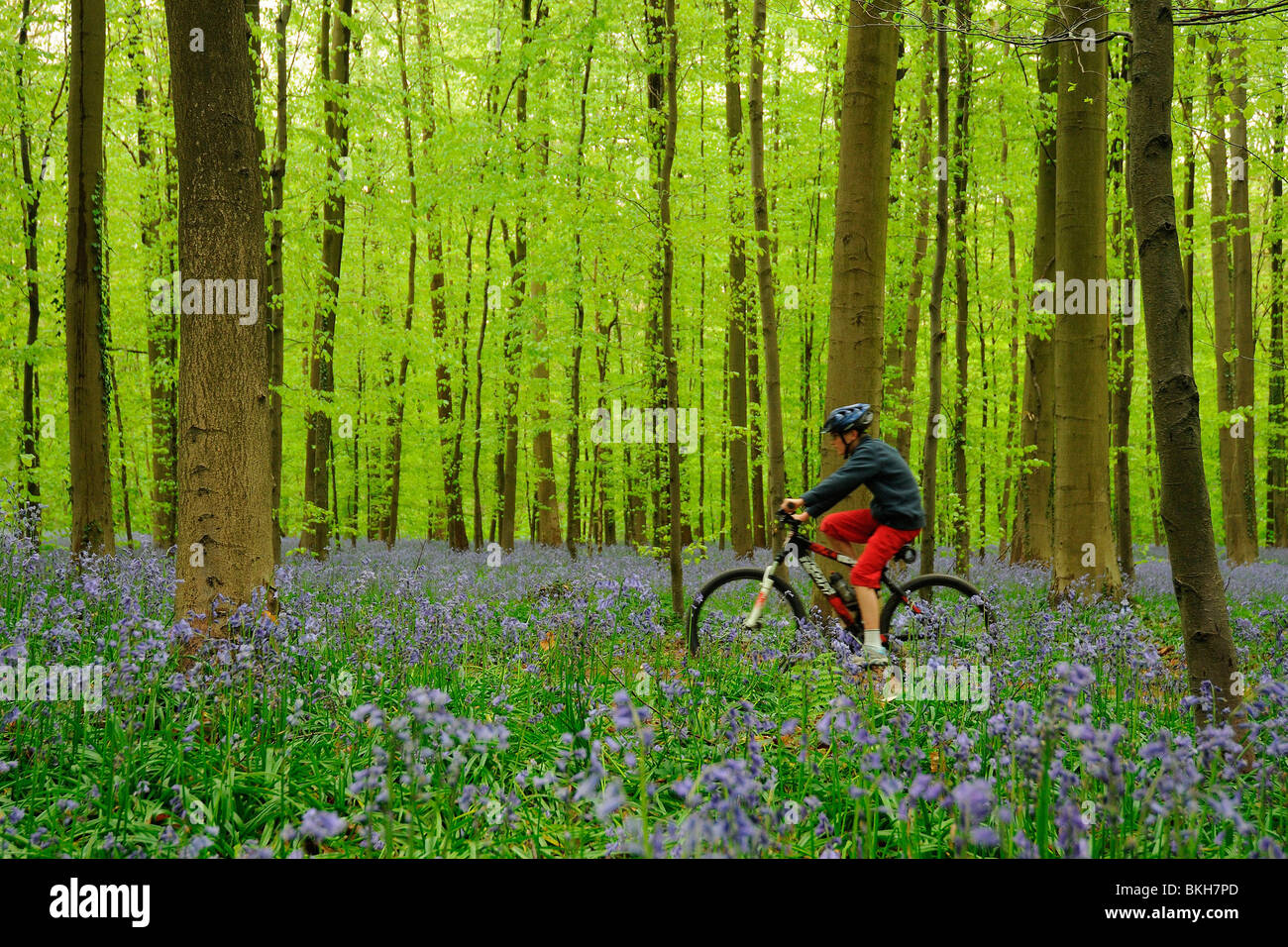 Kind fietst in bos; child cycles in forest Stock Photo