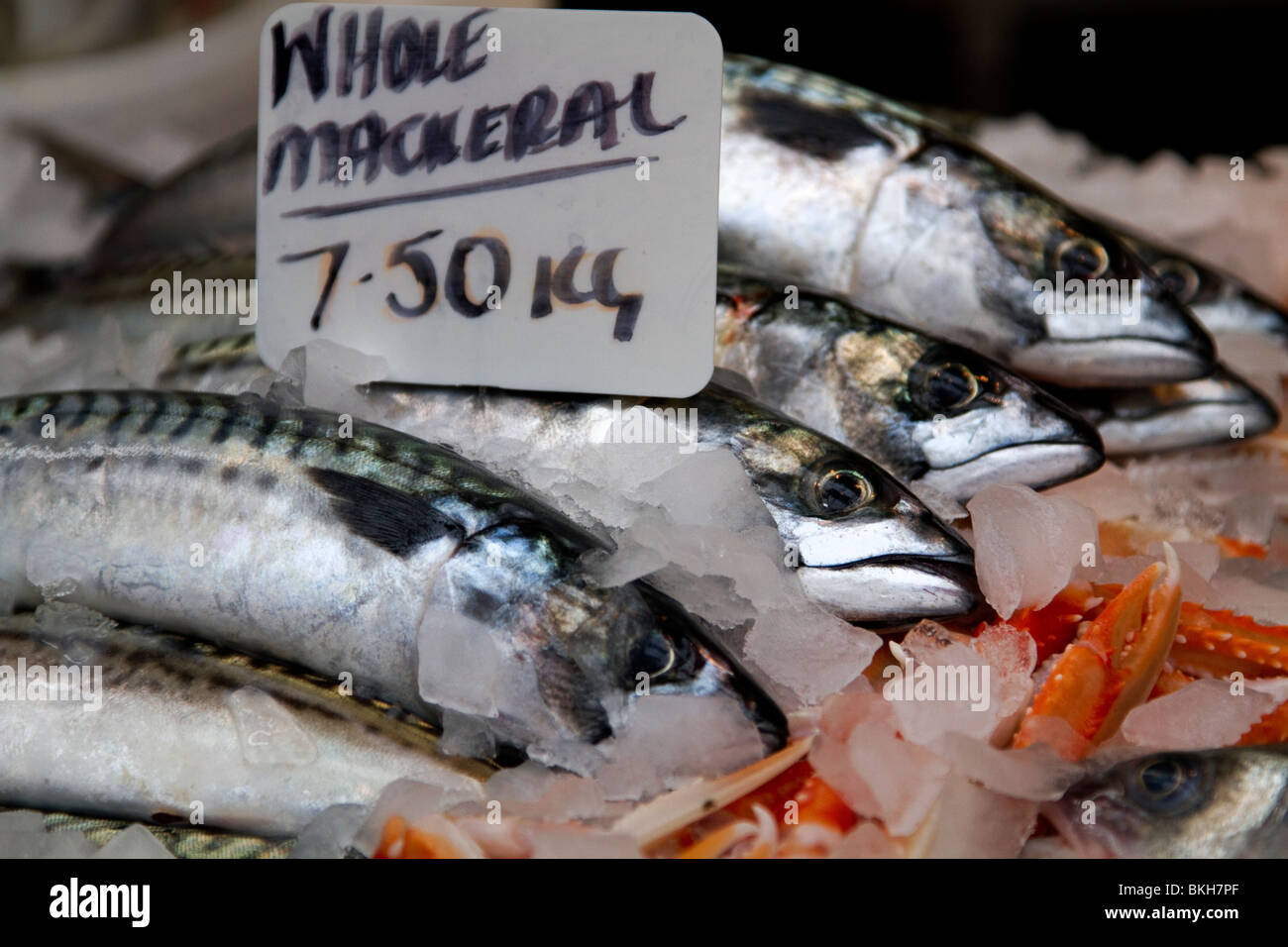 Whole mackerel for sale at Borough Market, London Stock Photo Alamy