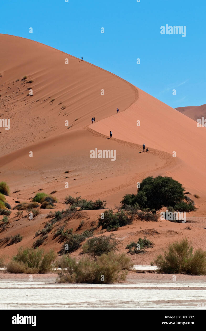 Tourists Climbing Big Mama Dune in Sossusvlei one of the HIghest Dunes