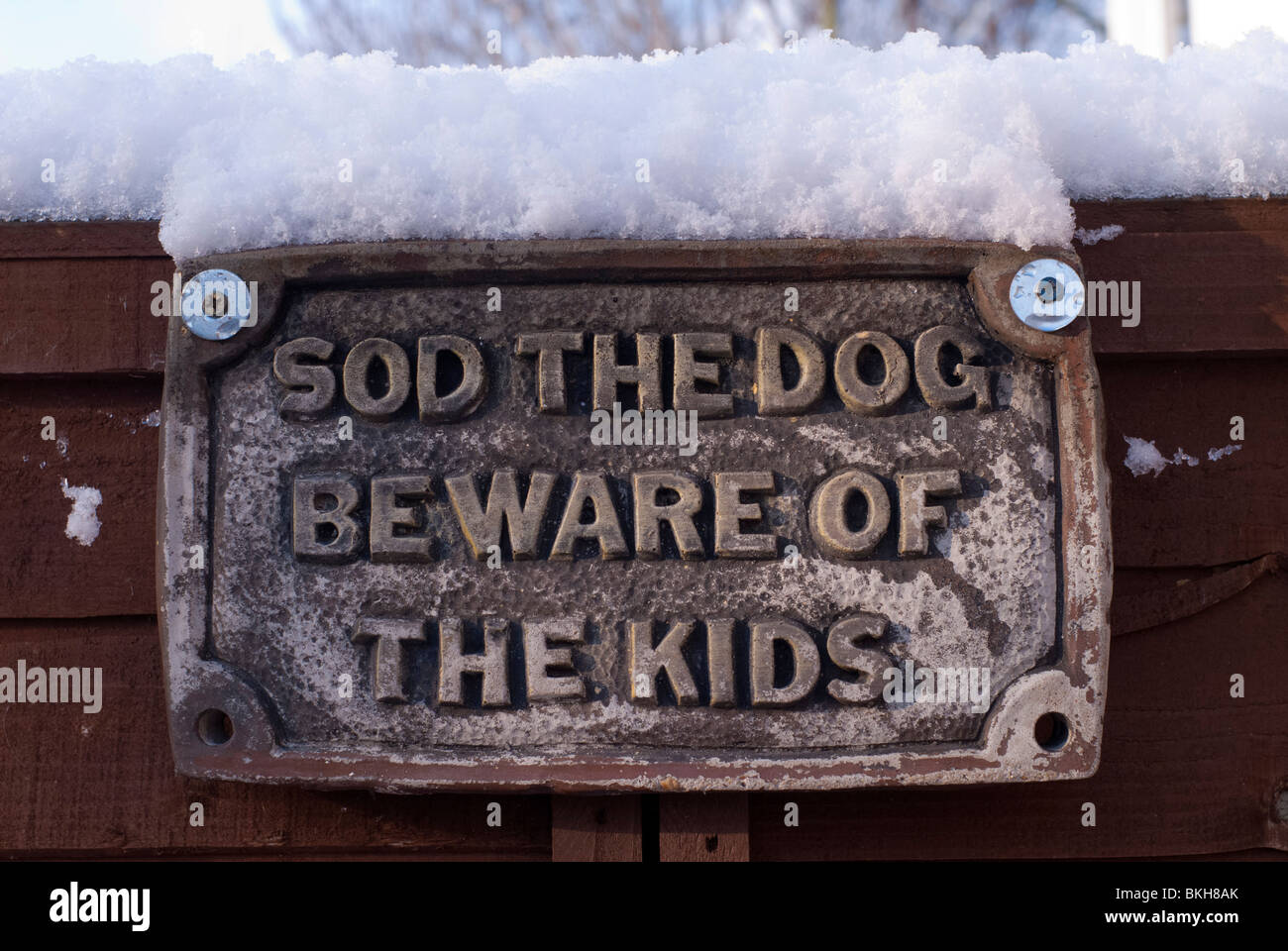 Beware of the Dog Sign - 2010 Stock Photo