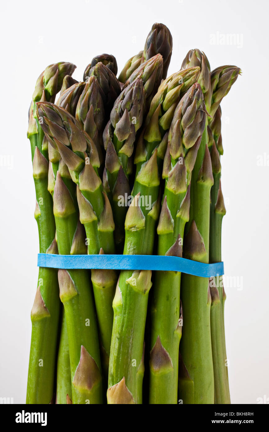 A bunch of asparagus held with rubber band Stock Photo - Alamy