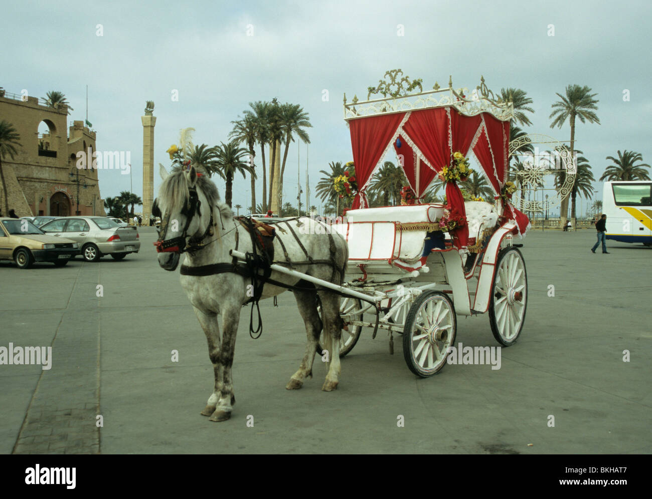 Carriage with horse, Green Square, Tripoli, Libya Stock Photo Alamy