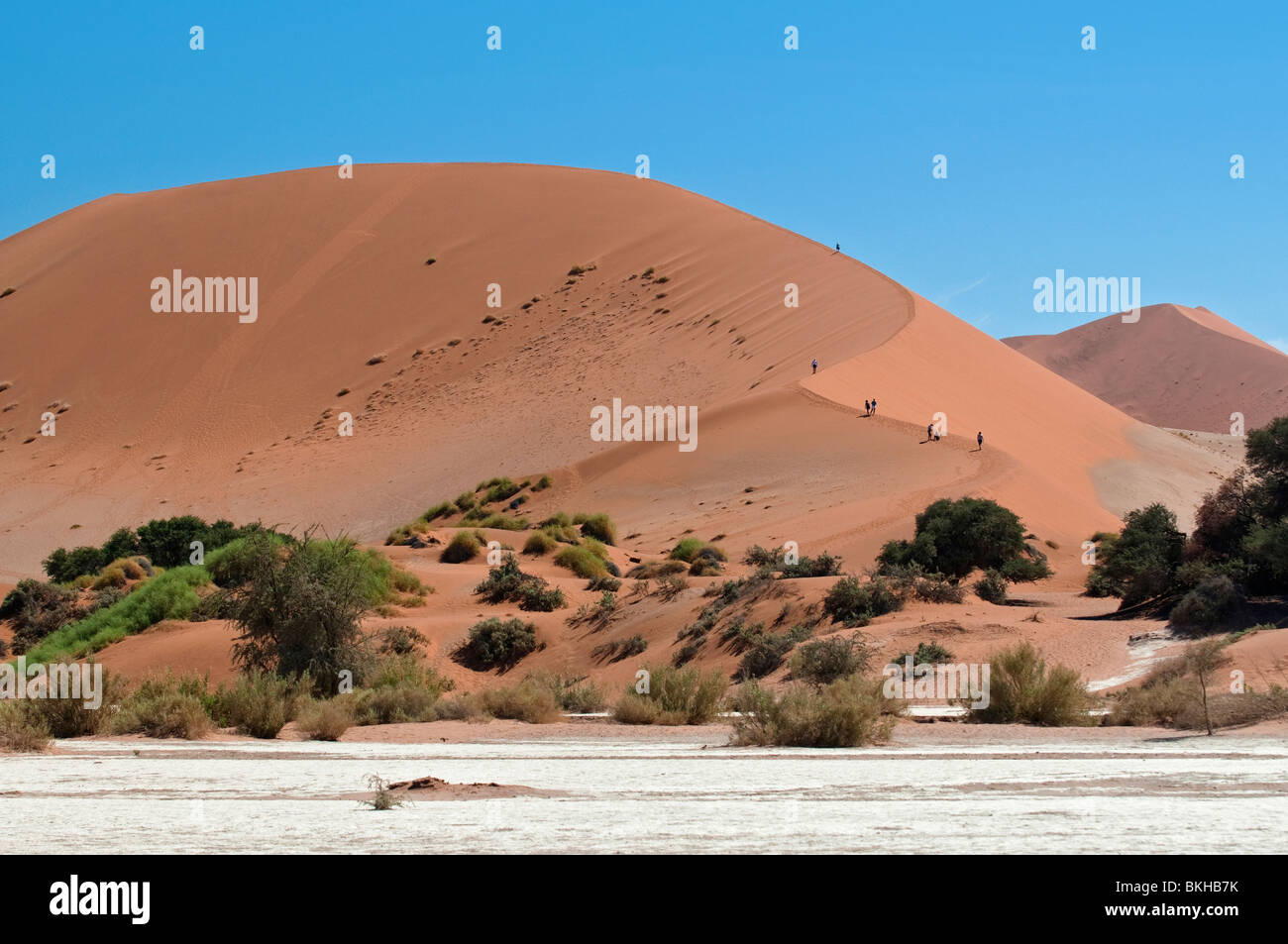 Tourists Climbing Big Mama Dune in Sossusvlei one of the HIghest Dunes