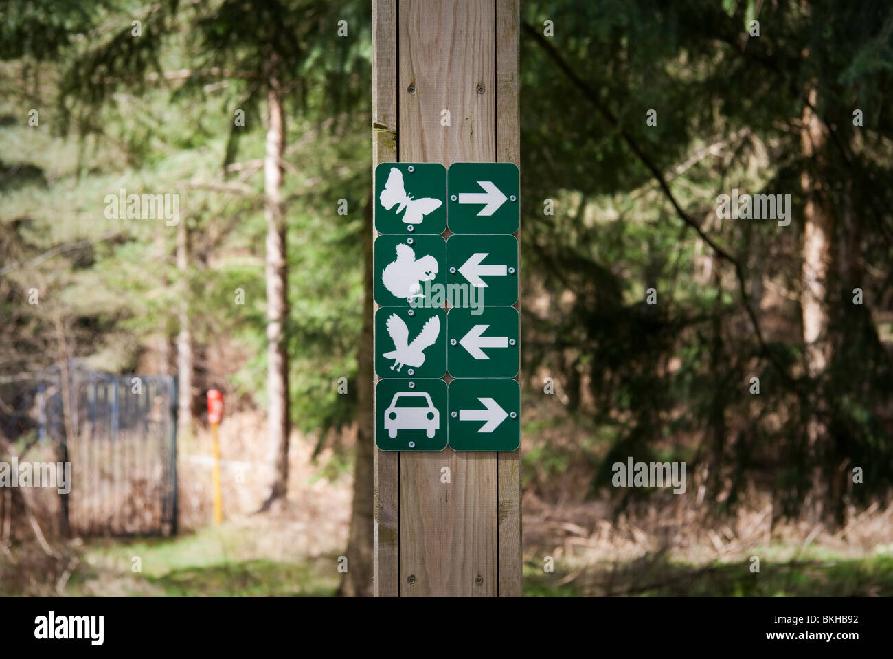 A sign post at the Penrith Centerparcs site with arrows pointing to various sights and facilities Stock Photo