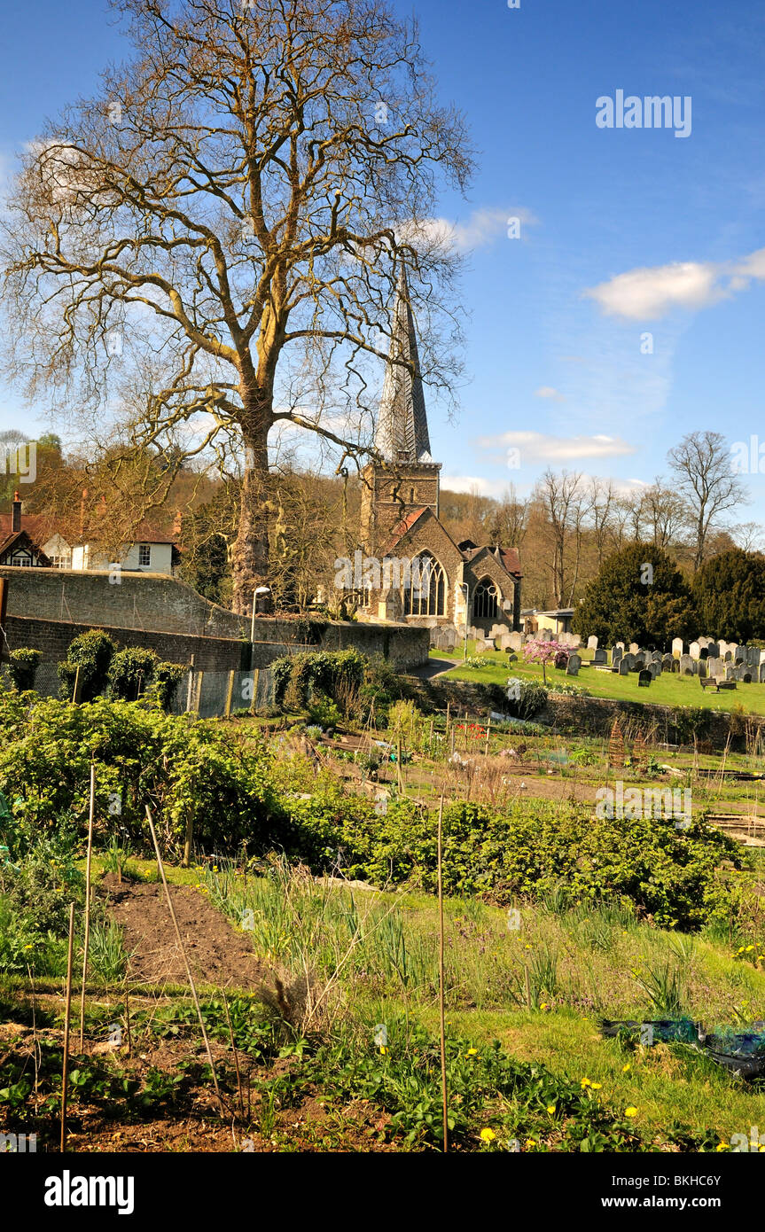 Allotments, Godalming Stock Photo