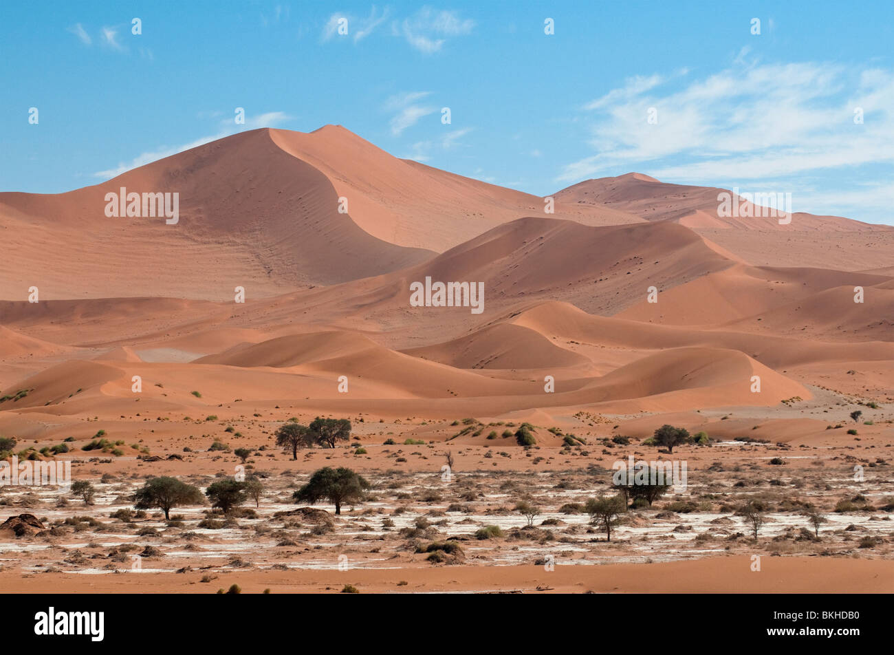 Big Mama Dune in Sossusvlei one of the HIghest Dunes in the World