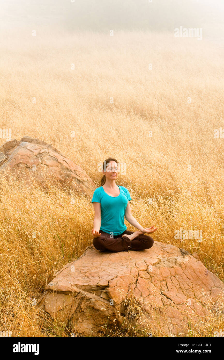 woman, yoga, health, life,solitary, rock, field, natural, peaceful, nature, one, being, blue, brown, morning, mist, light, medit Stock Photo