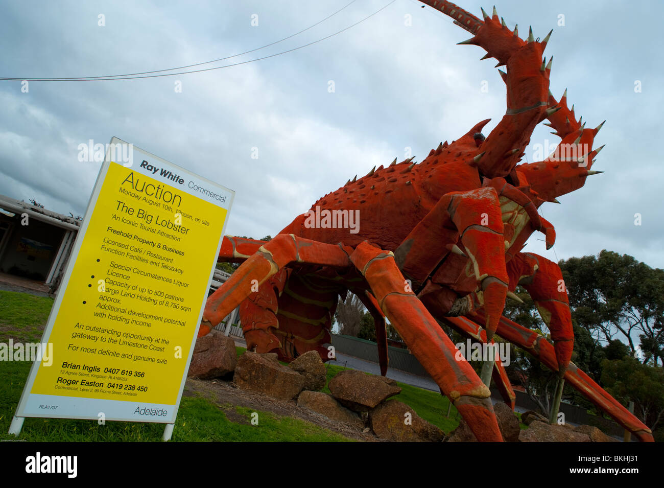 The Big Lobster landmark, Adelaide, South Australia, Australia Stock