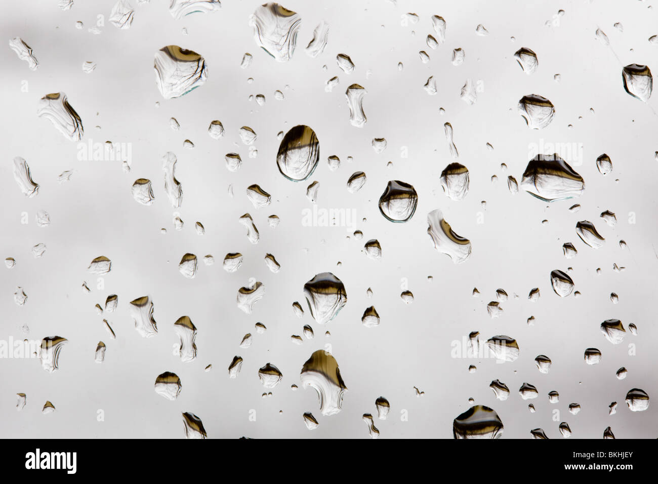Raindrops on a window pane Stock Photo