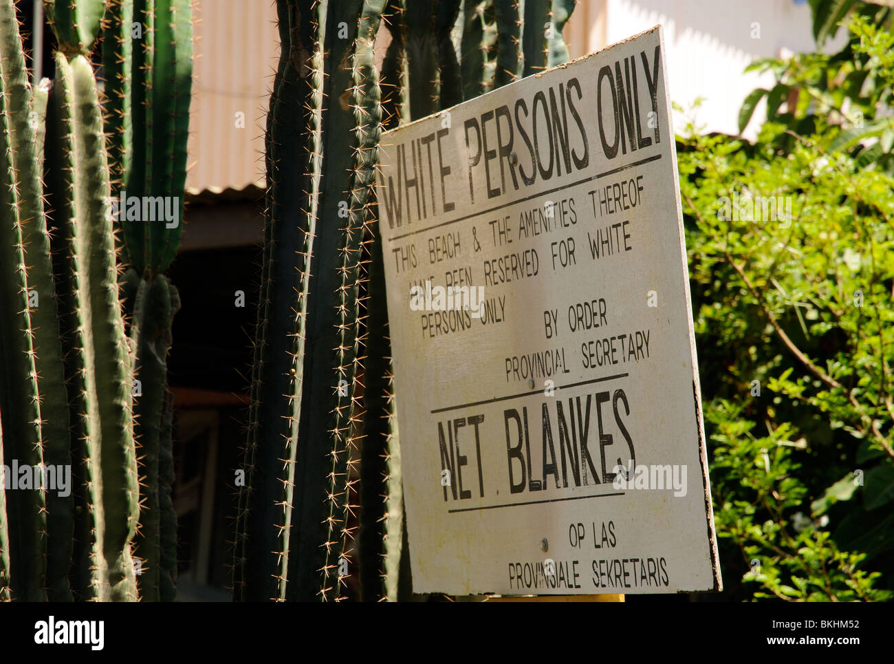 Historic Apartheid sign 'White Persons Only' 'No Blacks' used on a South African beach pre 1994 Stock Photo