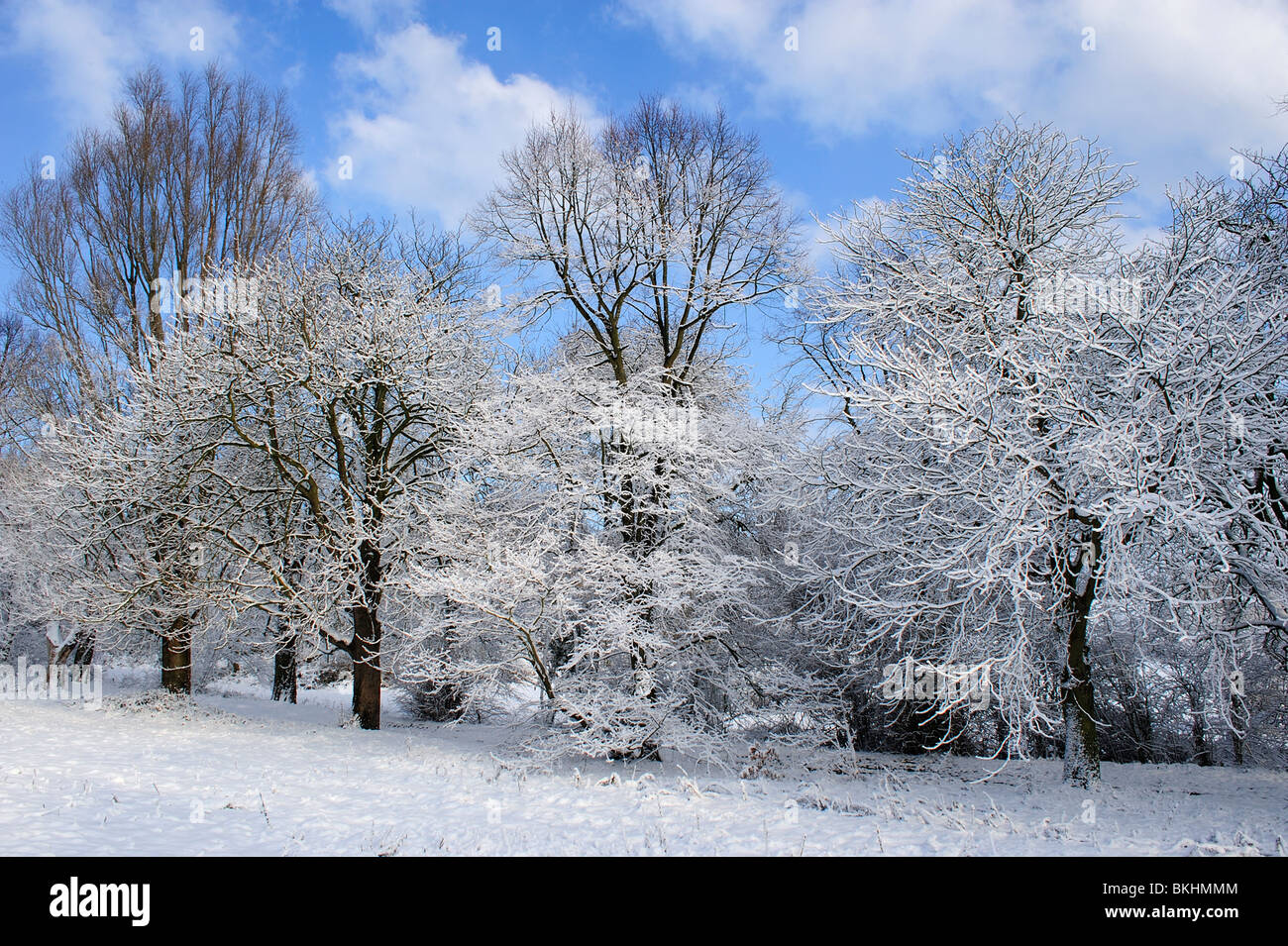 Snow, Bedfords Park, Romford, Essex, UK Stock Photo