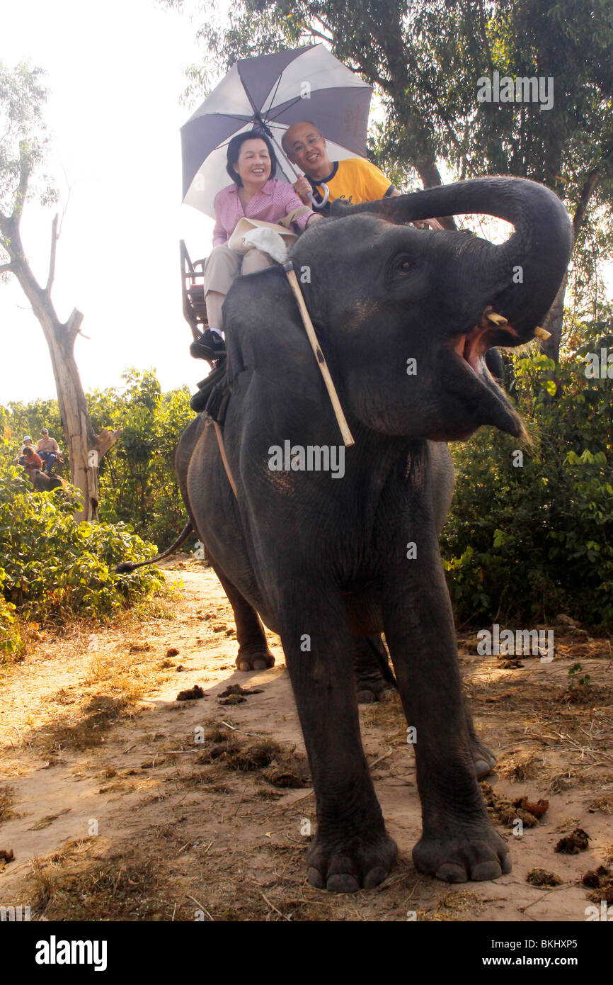 Elephant ride at Nong Nooch Village. Stock Photo