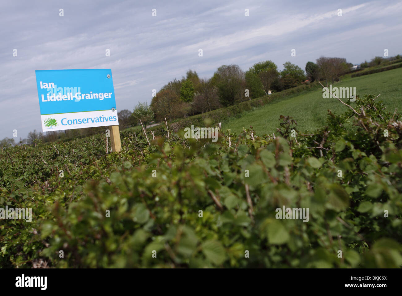 Vote Conservative UK general election poster April 2010 in rural Somerset candidate Ian Liddell Grainger Stock Photo