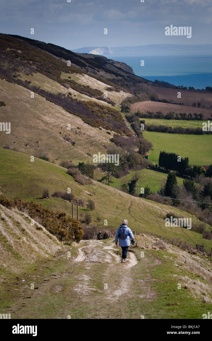 Walkers on Nine-barrow Down in the Purbeck Hills. Stock Photo