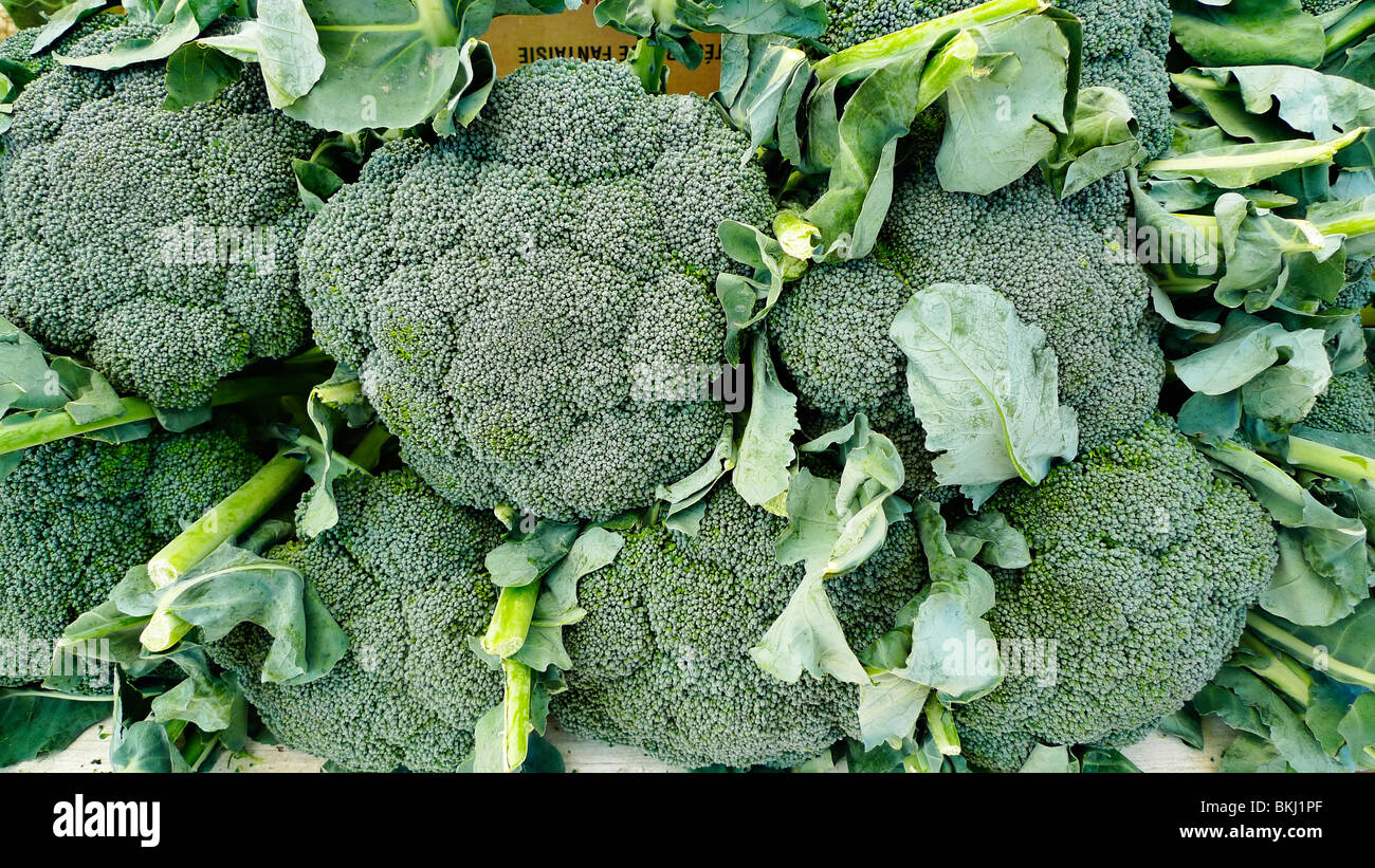 Fresh organic broccoli on display at farmer's market Stock Photo Alamy