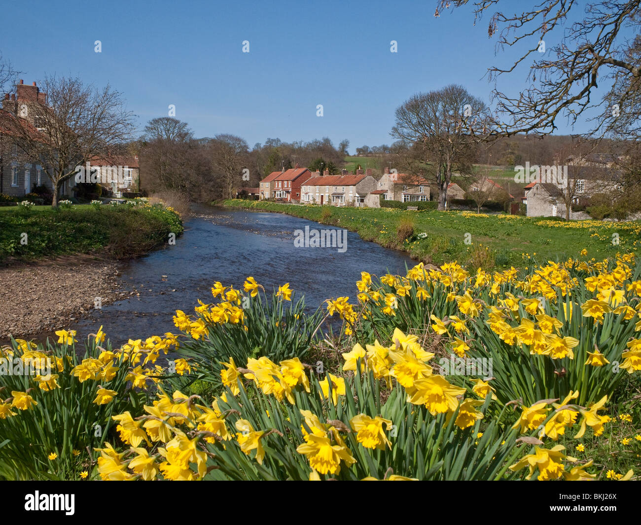 Sinnington North Yorkshire UK River Seven Cottages and Daffodils Stock Photo