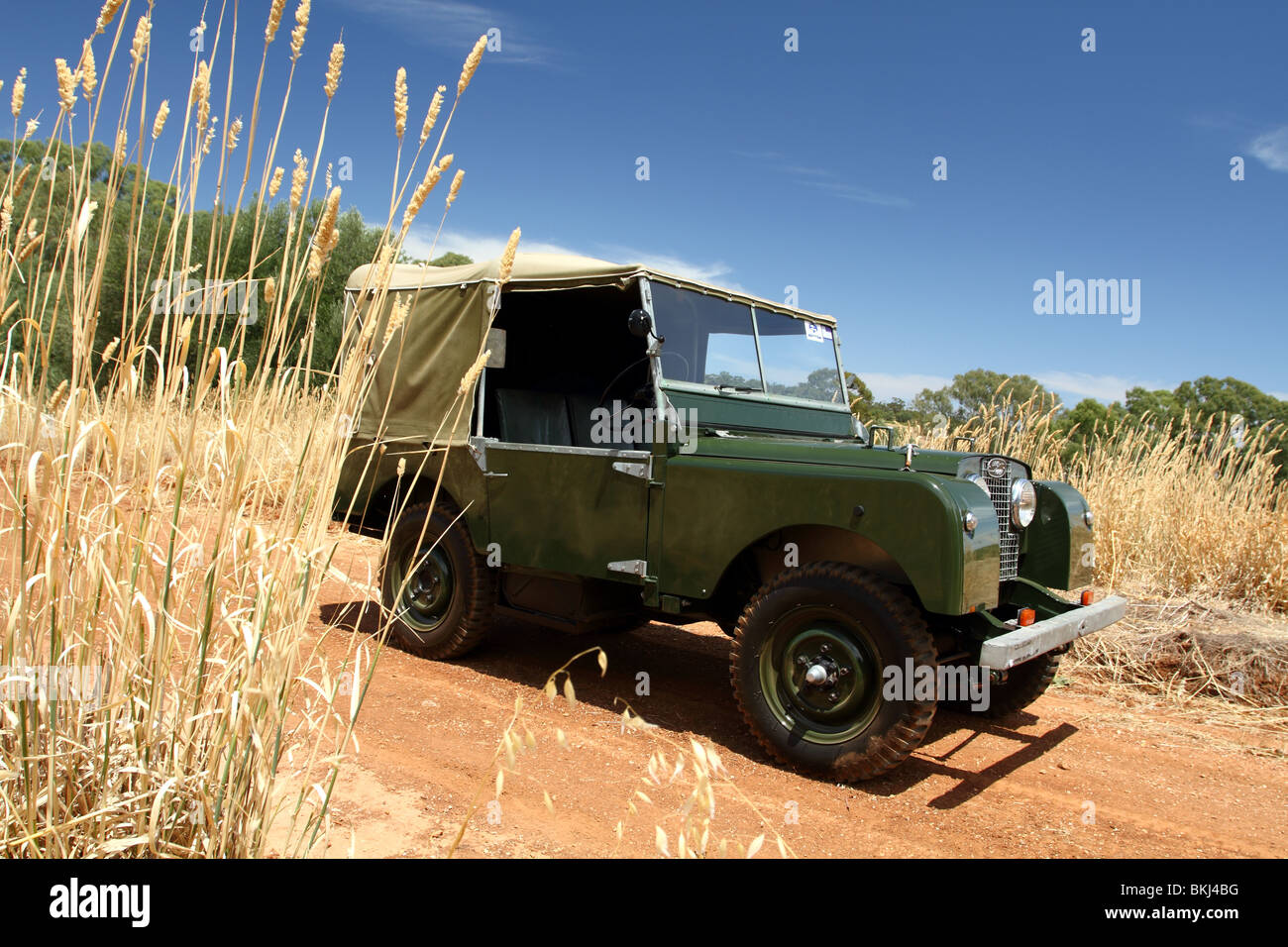 1952 Land Rover Series 1 4WD Off roader in the Australian bush Stock Photo