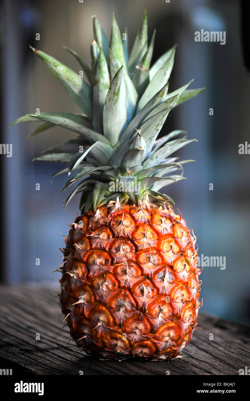 A ripe pineapple Stock Photo
