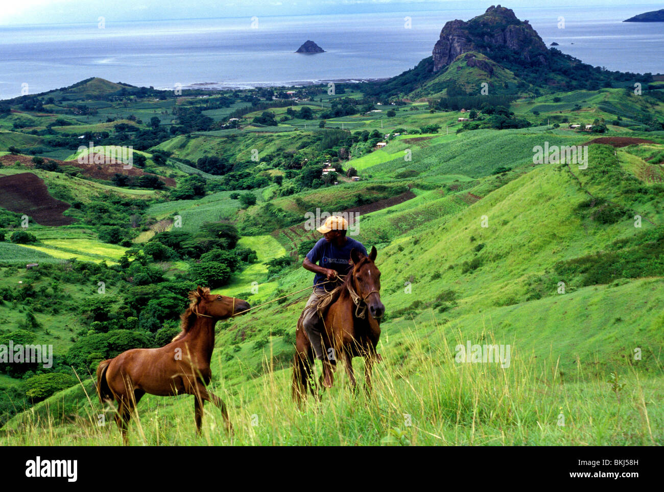 horse riding in nakauvadra hills rakiraki fiji Stock Photo Alamy