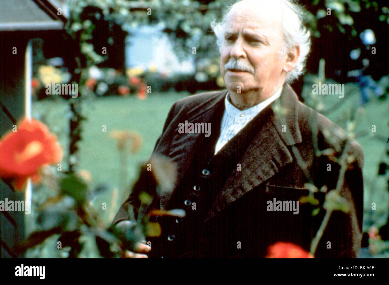 DA 1988 BARNARD HUGHES Stock Photo Alamy