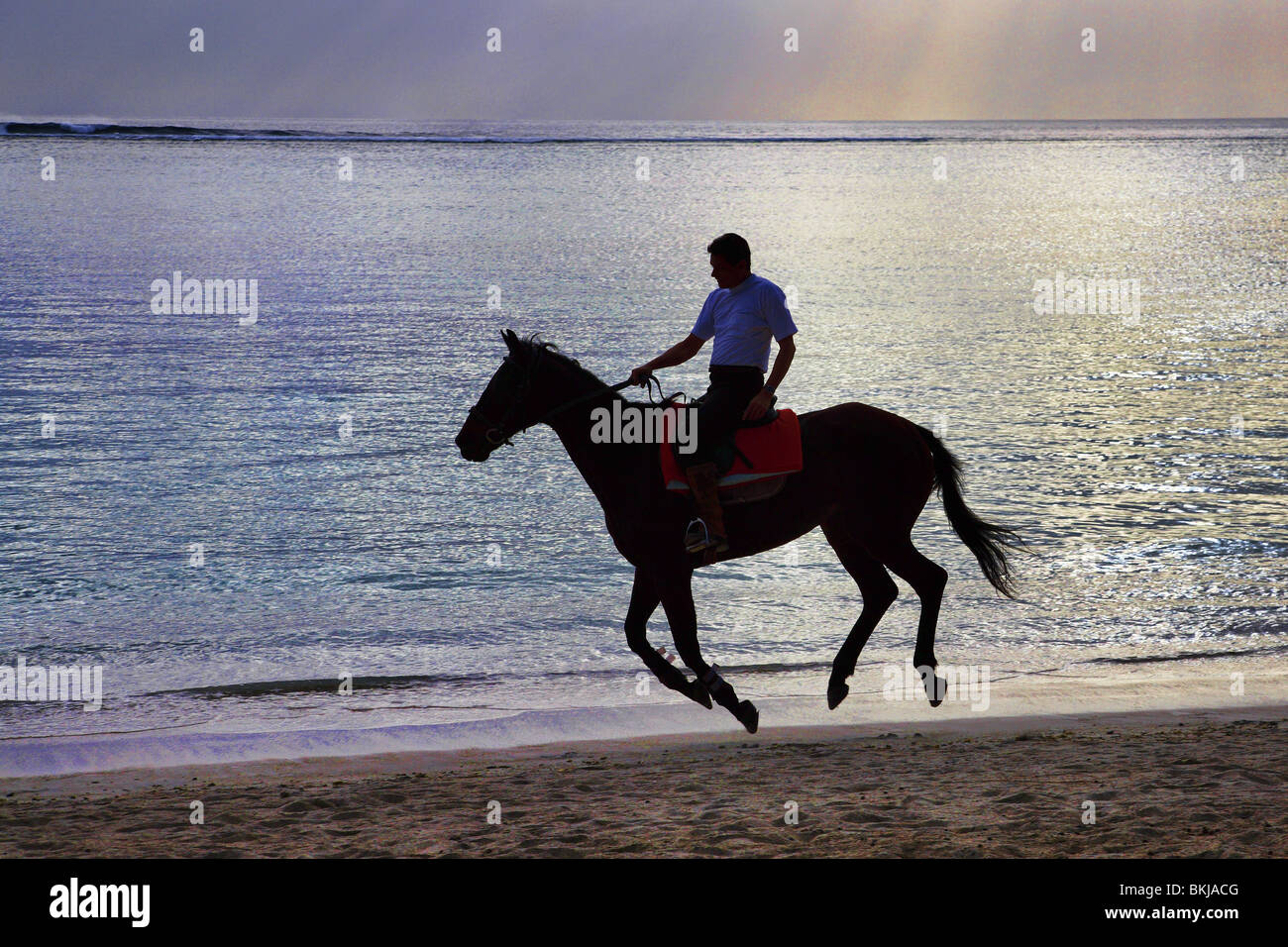 Horse Running On The Beach High Resolution Stock Photography and Images ...