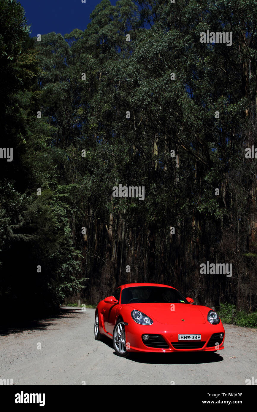 2010 Porsche Cayman S sportscar portrait among tall trees on an Australian driving trip Stock Photo