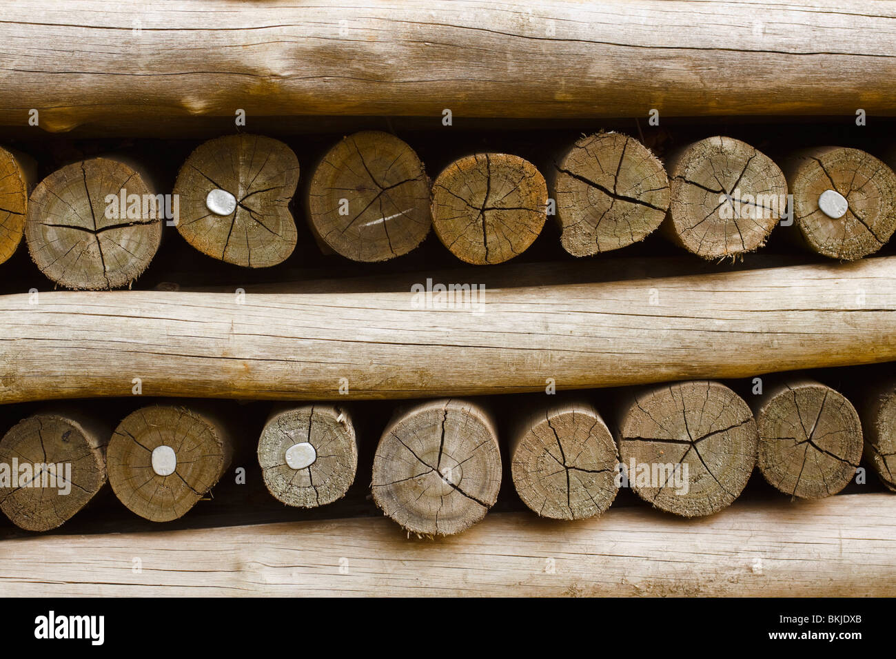 Stacked cut timber poles used for fencing, carrying markings confirming standardised timber treatment. South Africa. Stock Photo