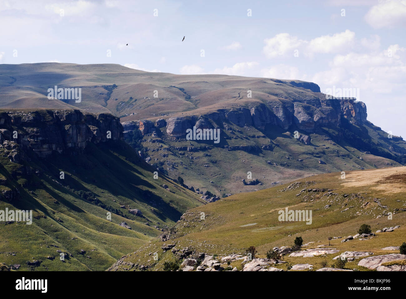 Elevated view of gorge through the Drakensberg with two distant eagles soaring overhead. KwaZulu Natal, South Africa. Stock Photo