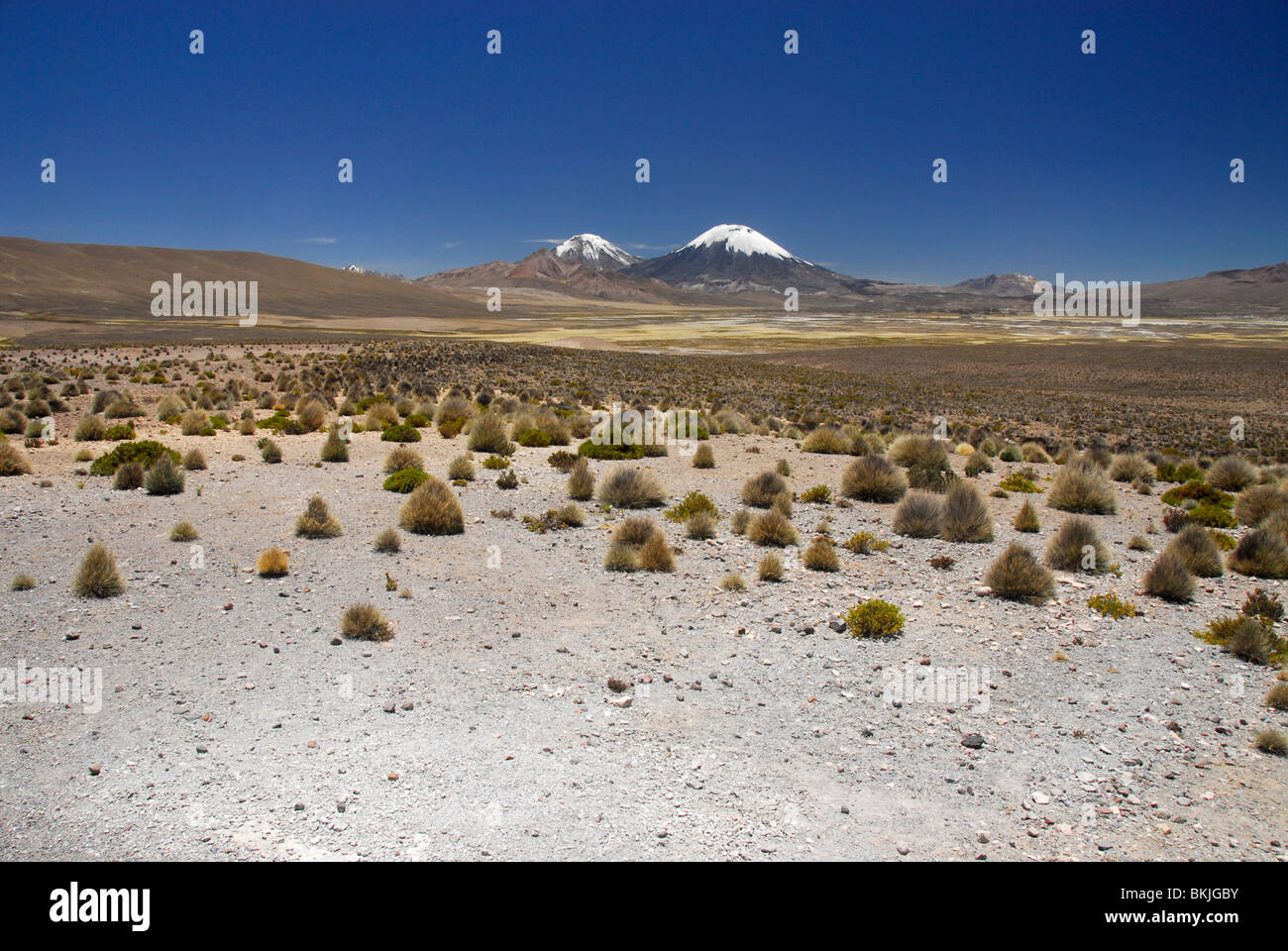 Volcano Parinacota and Pomerape, Payachata twin peaks as seen from the Altiplano, Lauca National Park, Chile, South America Stock Photo