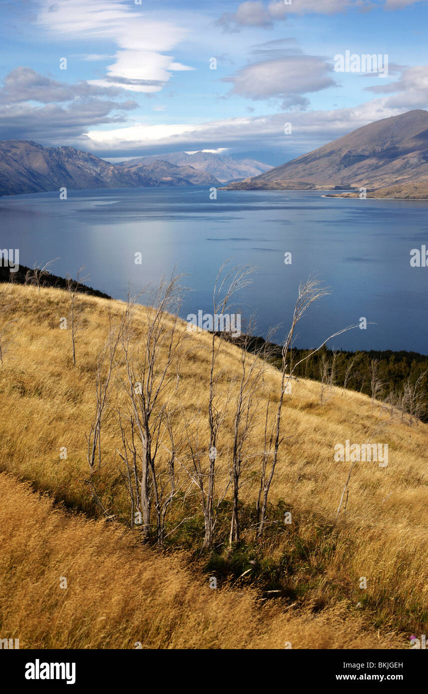 Lake Wanaka in Otago on New Zealand's South Island Stock Photo - Alamy