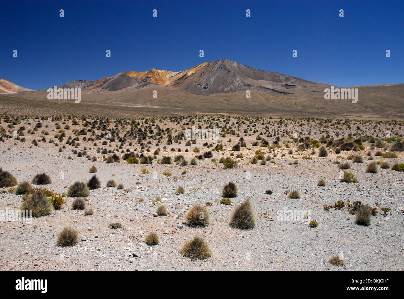 Pampa in Nevados de Putre, Lauca National Park, Chile, South America Stock Photo