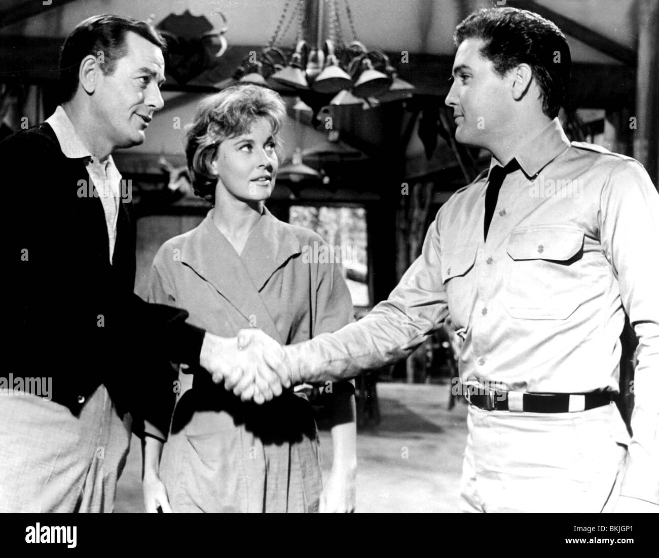 KID GALAHAD (1962) ELVIS PRESLEY KGHD 001P Stock Photo Alamy