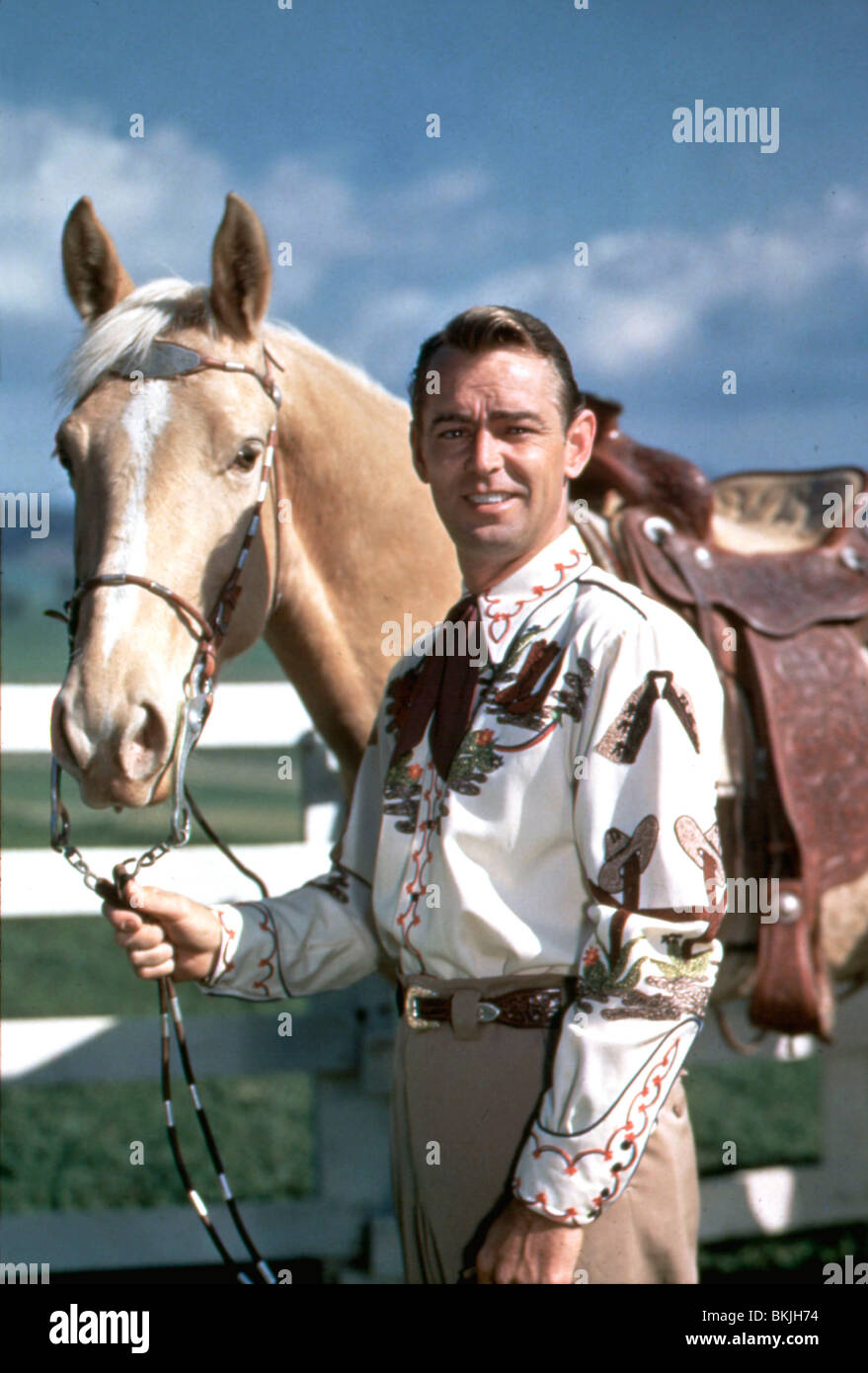 ALAN LADD PORTRAIT Stock Photo - Alamy