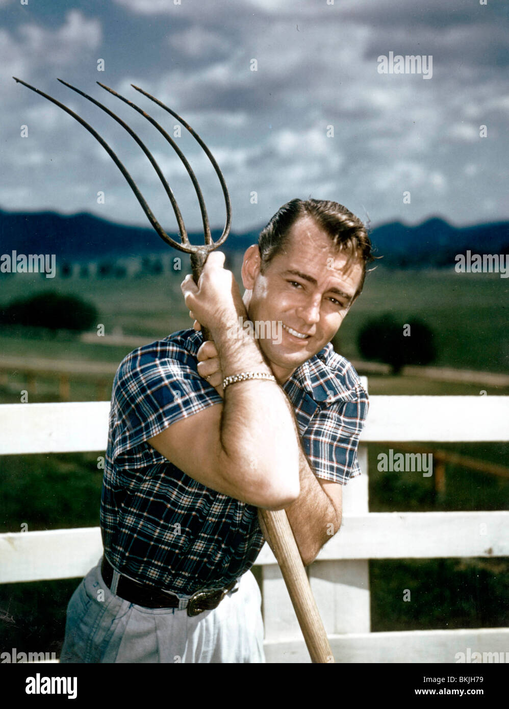 ALAN LADD PORTRAIT Stock Photo - Alamy