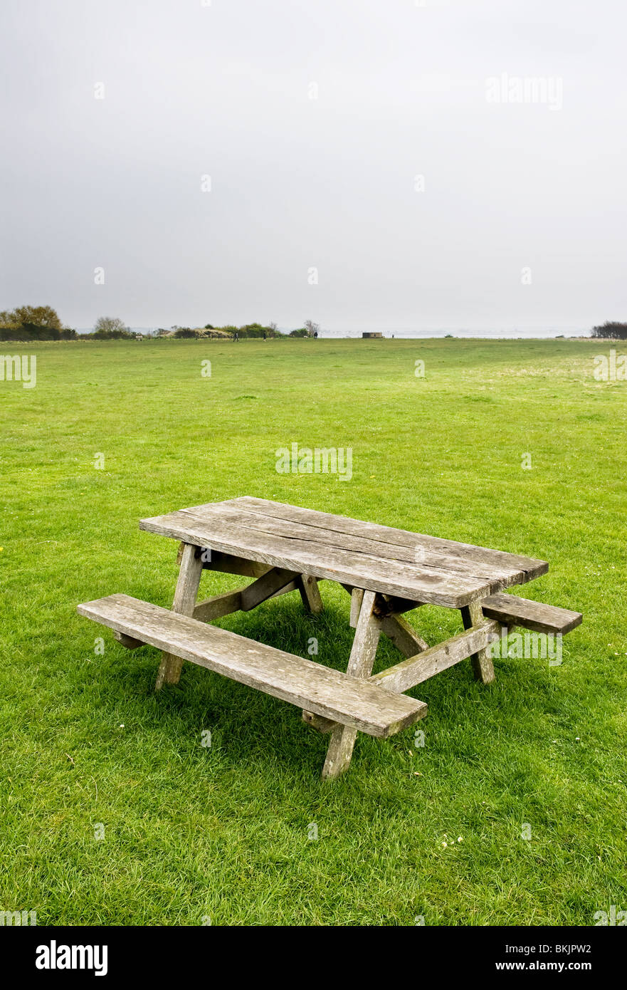 An empty wooden picnic table in a field. Stock Photo