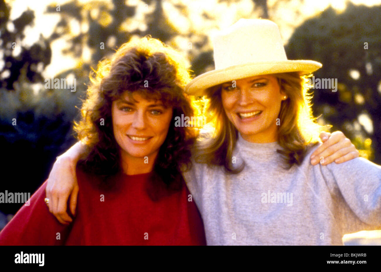 RICH AND FAMOUS (1981) JACQUELINE BISSET, CANDICE BERGEN RAF 008 Stock ...