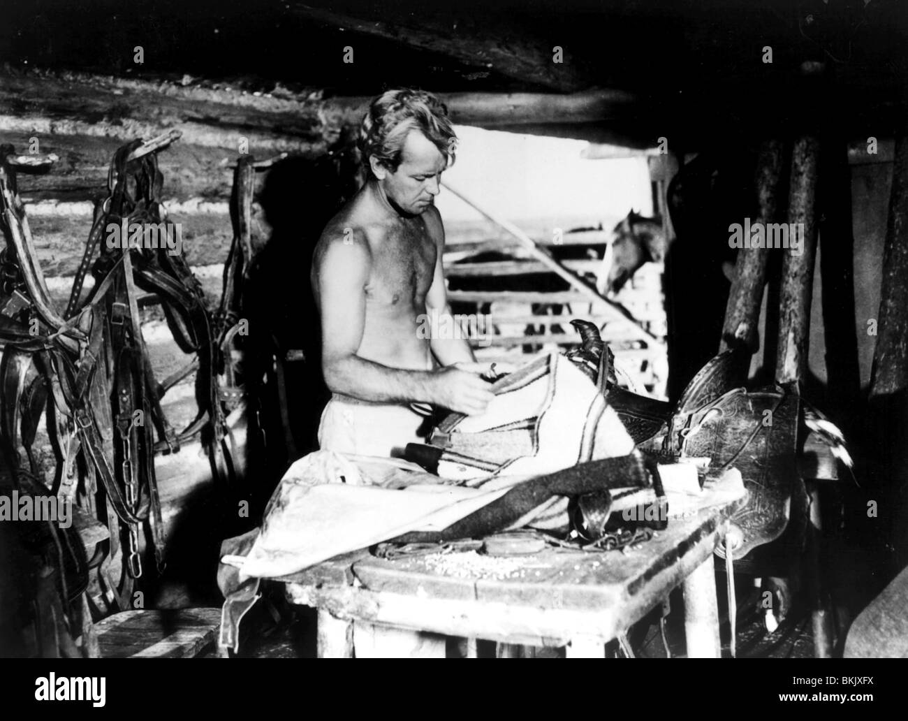 Shane 1953 alan ladd hi-res stock photography and images - Alamy