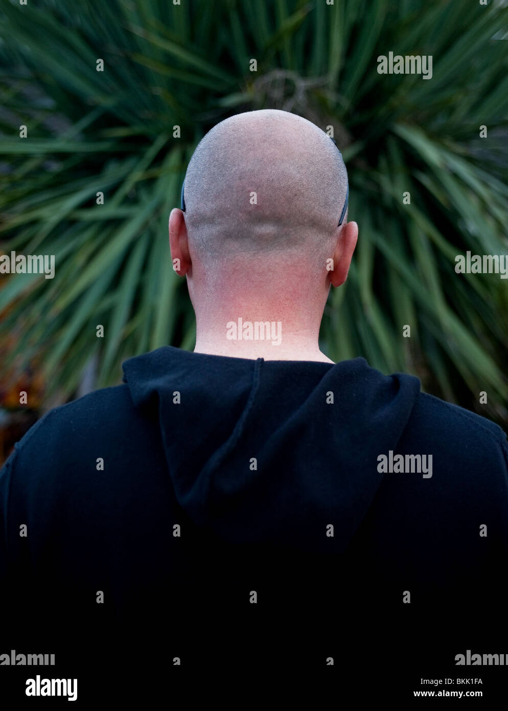 A man with a bald head.  Photo by Gordon Scammell Stock Photo